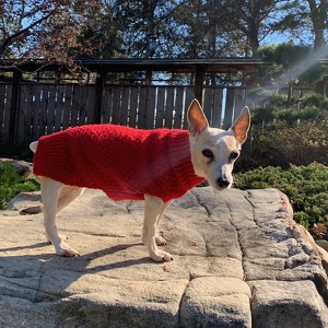 Fundraising Page: Tyler Pass